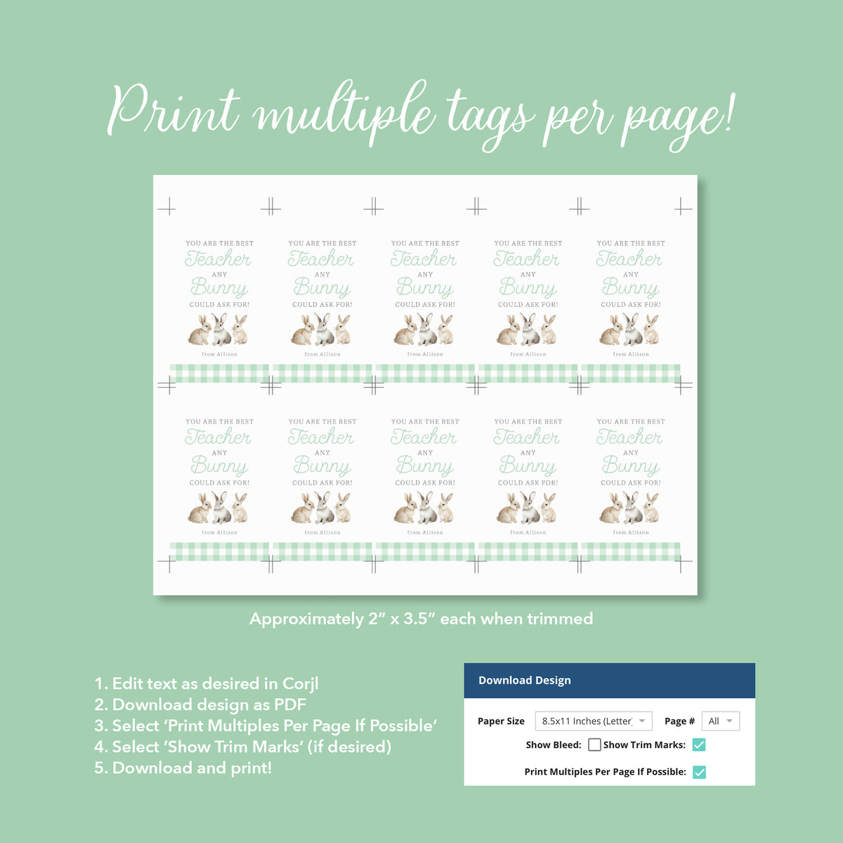 Green Gingham Best Teacher Easter Tag Template