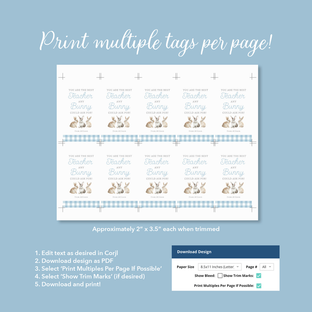 Blue Gingham Best Teacher Easter Tag Template