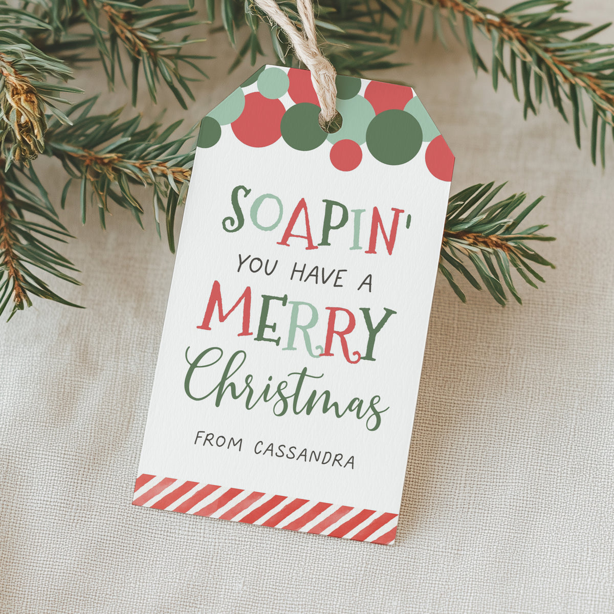 Soapin You Have a Merry Christmas Tag Template