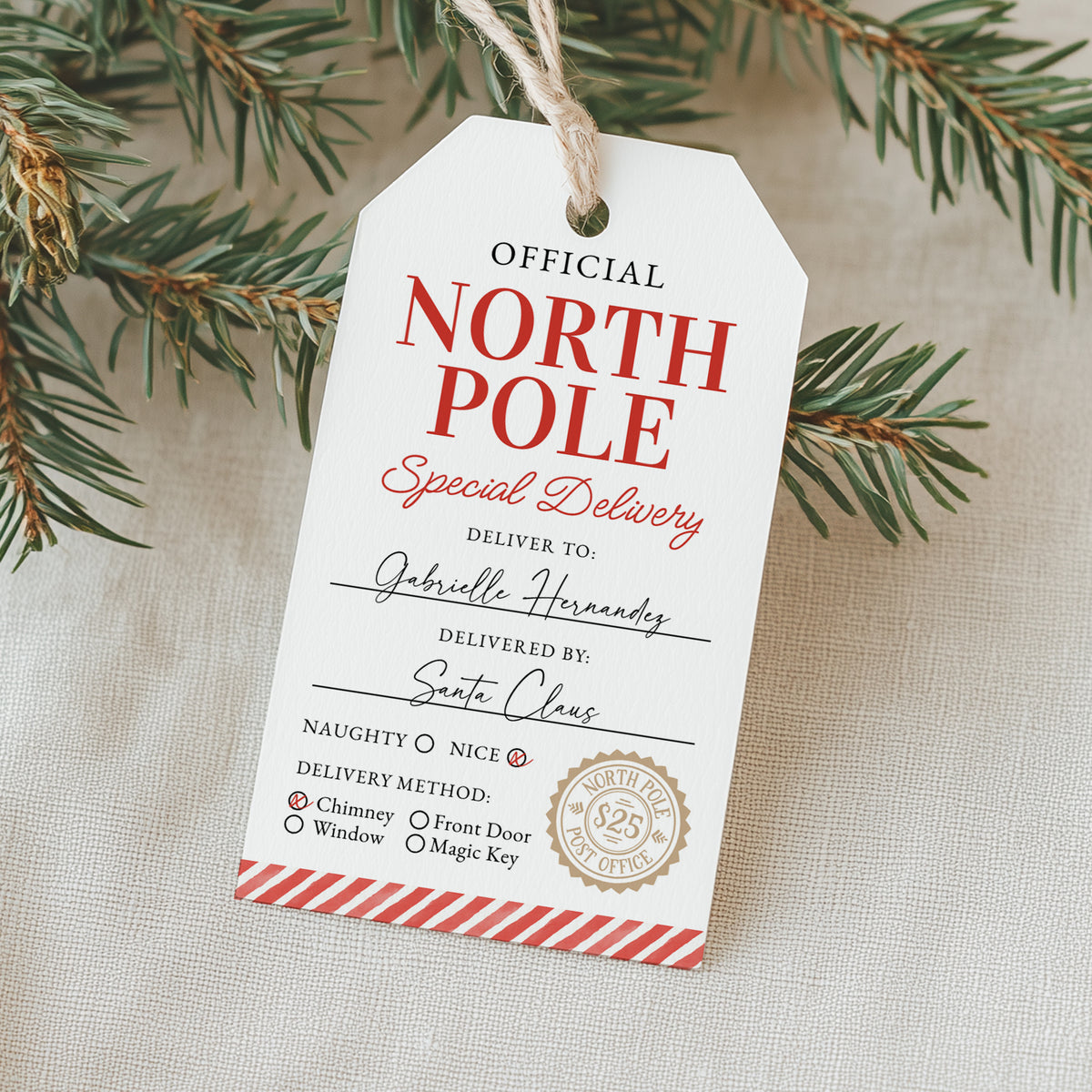 North Pole Delivery Holiday Tag Template