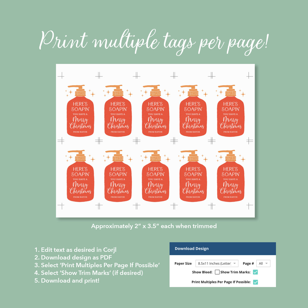 Here's Soapin Holiday Tag Template