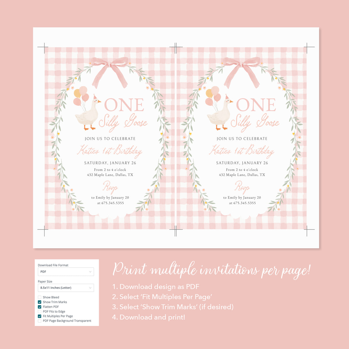 Pink Gingham Silly Goose Birthday Invitation