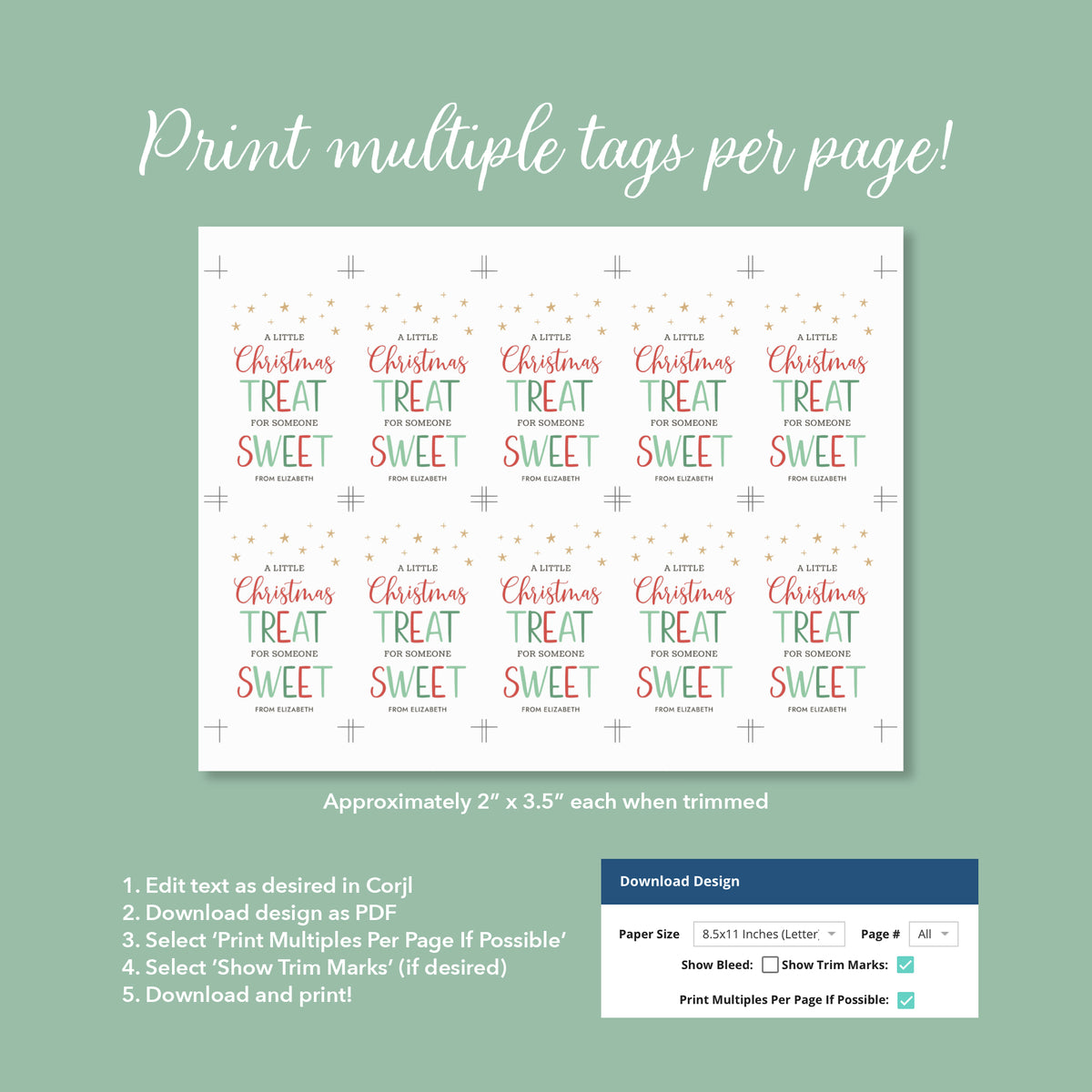 Little Christmas Treat Holiday Tag Template