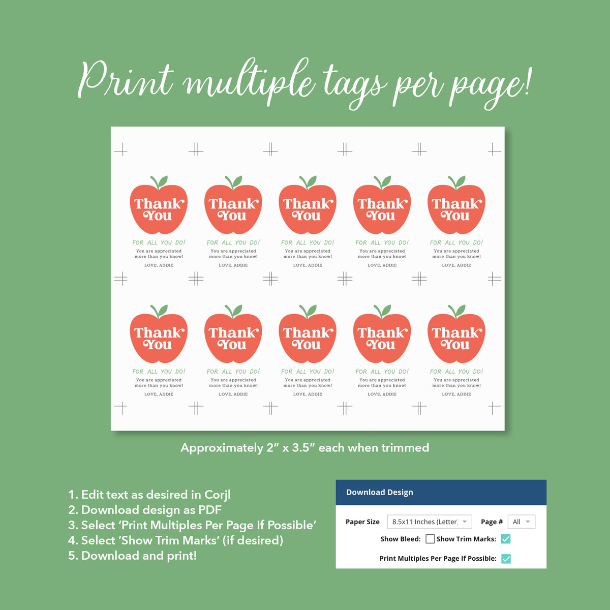 Thank You Apple Teacher Appreciation Tag Template