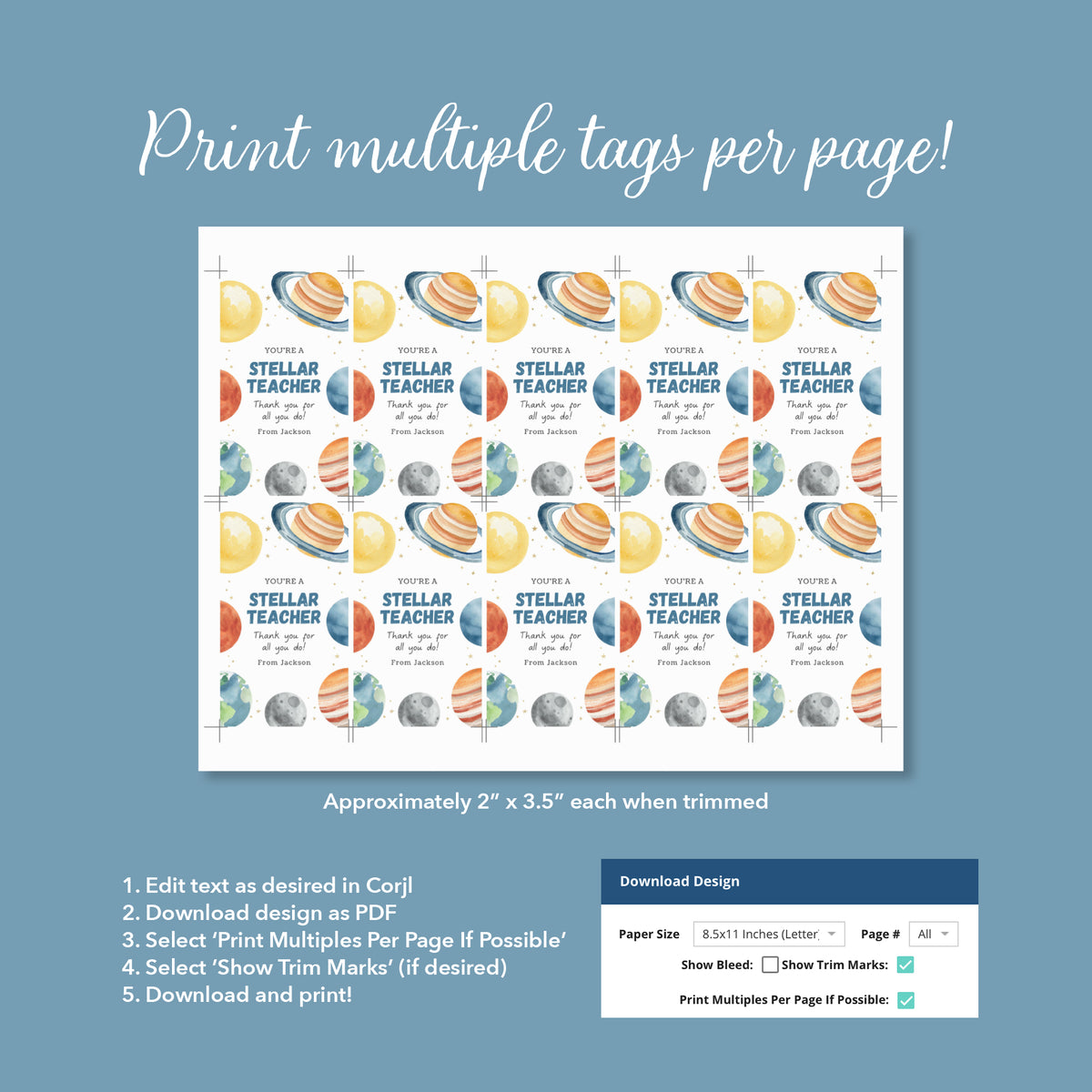 Outer Space Teacher Appreciation Tag Template