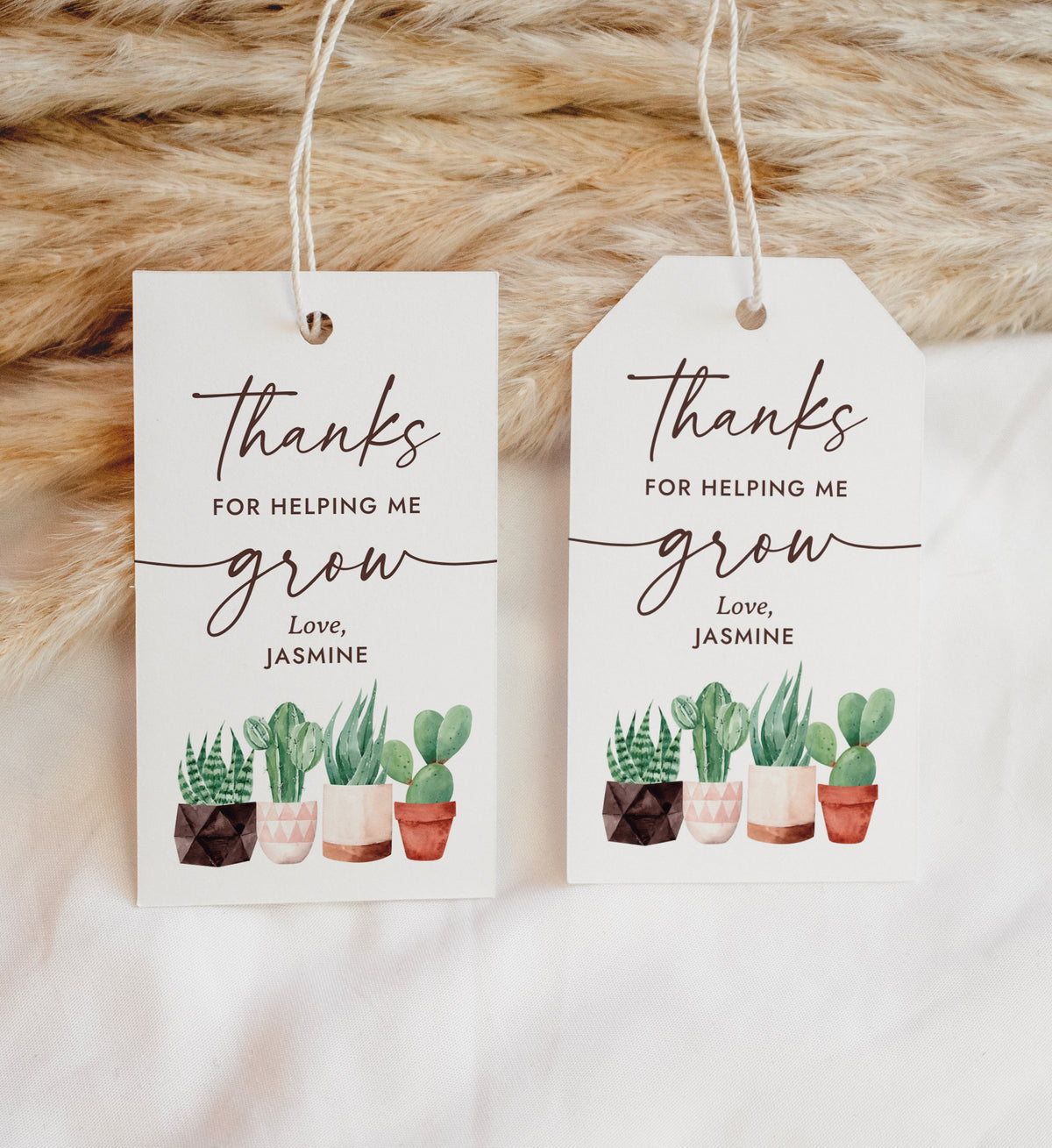 Cactus Teacher Appreciation Tag Template