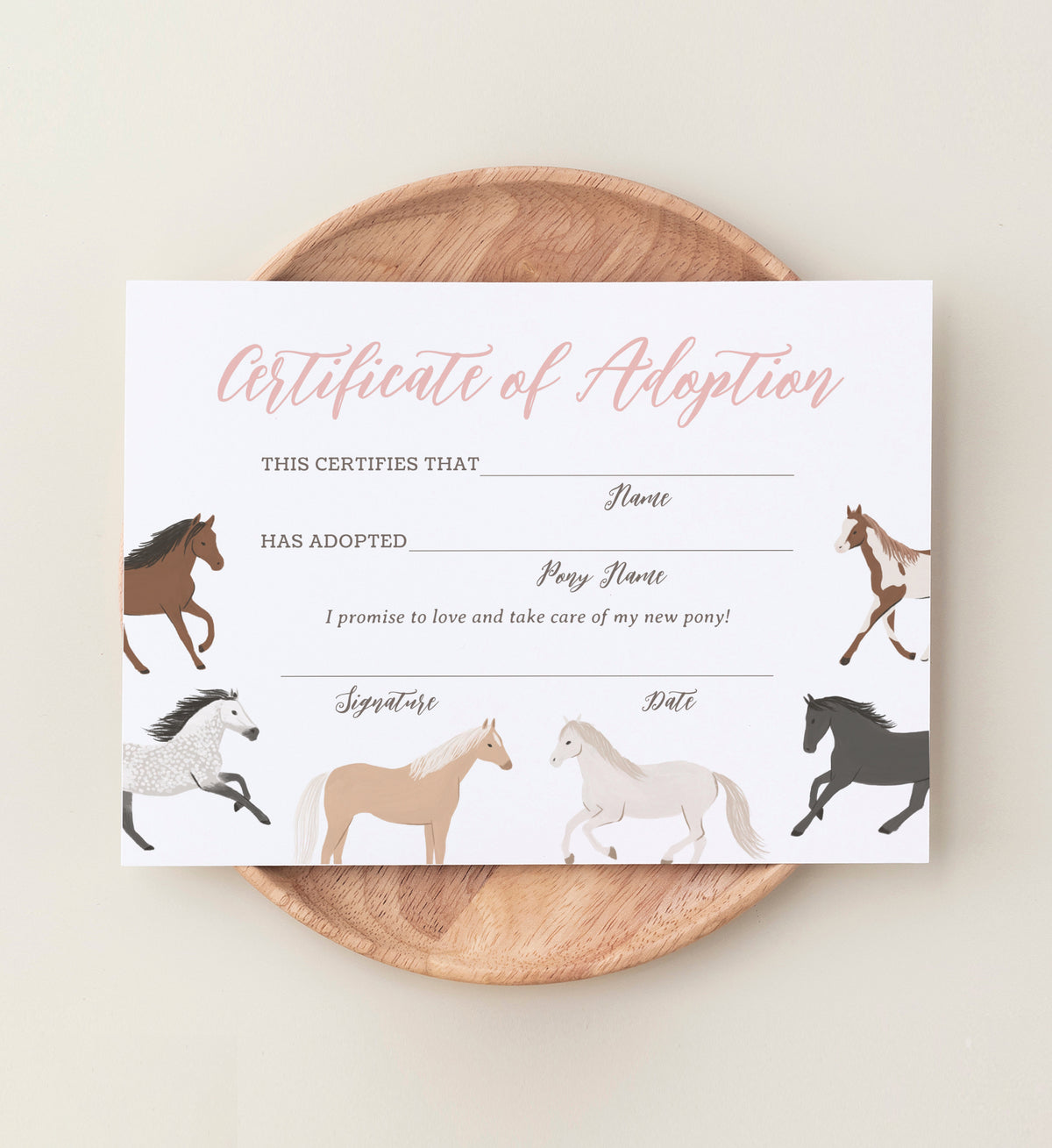 Editable Horse Birthday Adoption Certificate Template