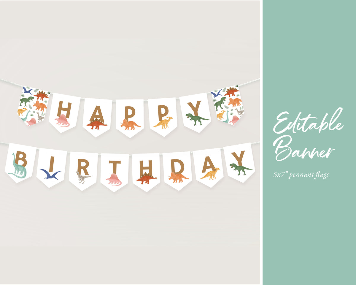 Editable Dinosaur Any Age Birthday Bundle