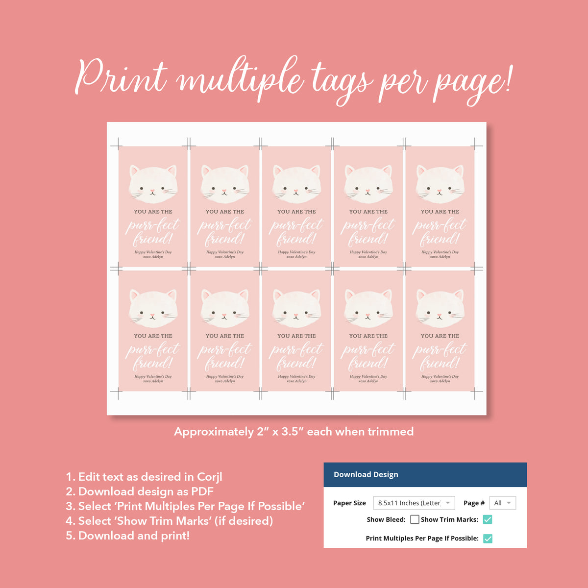 Kitten Valentine's Tag Template