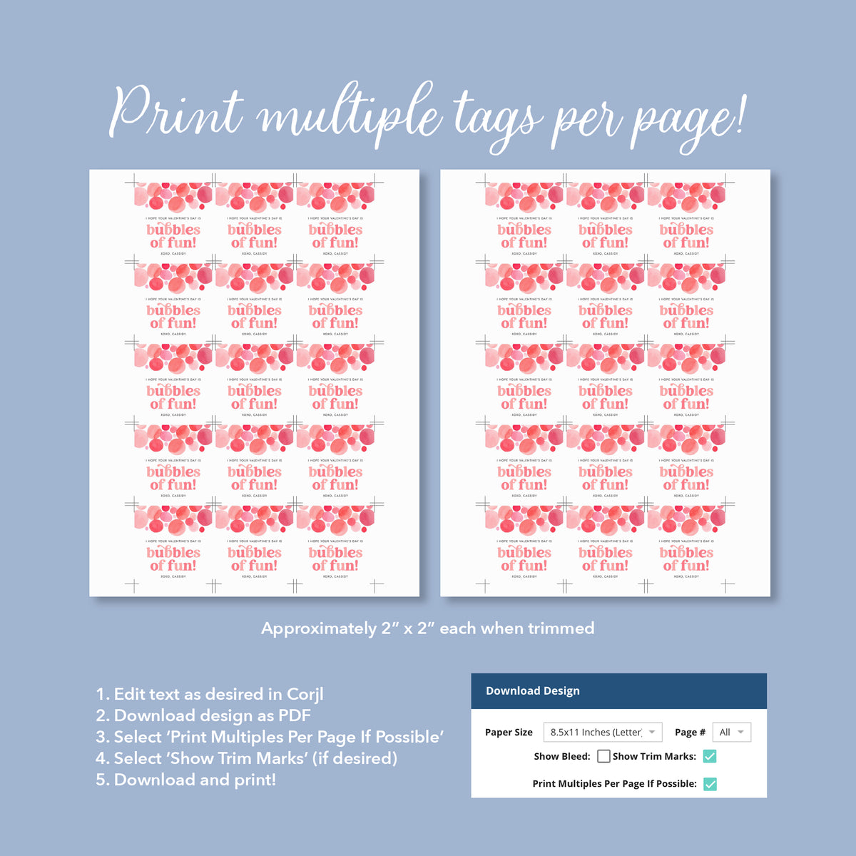 Bubbles of Fun Valentine's Tag Template