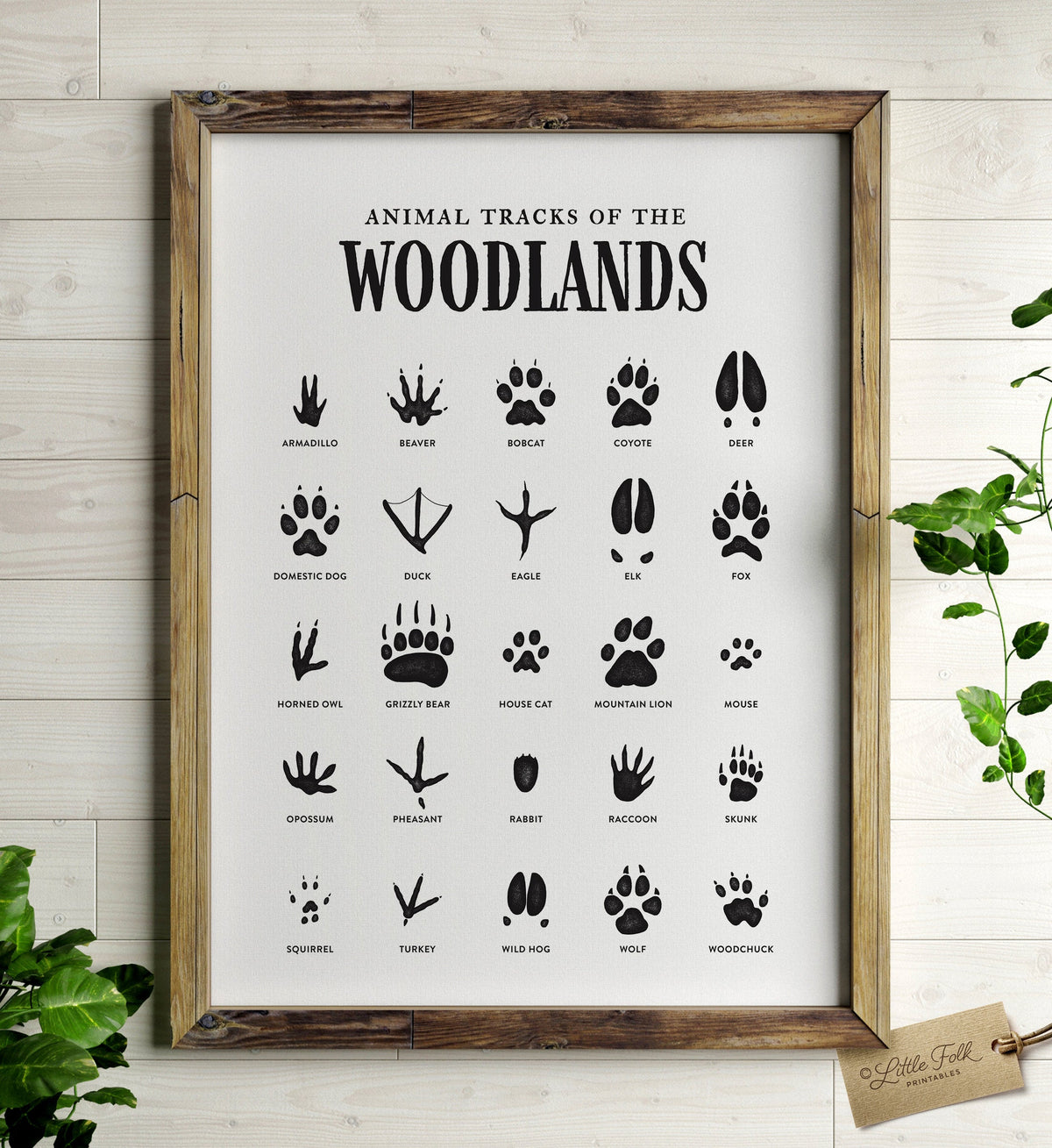 Animal Tracks Print