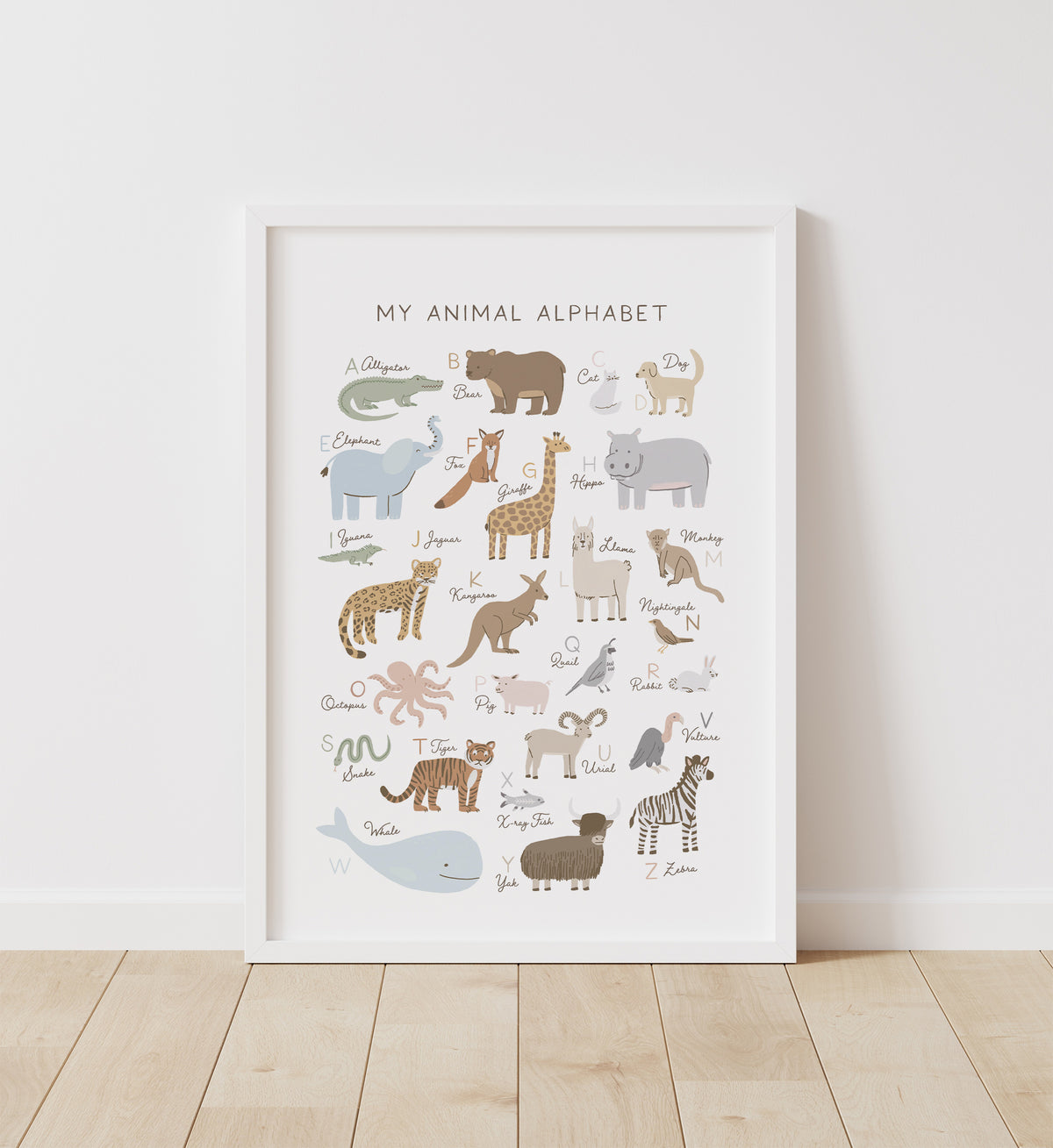 Educational Set of 6 Prints - SNCP