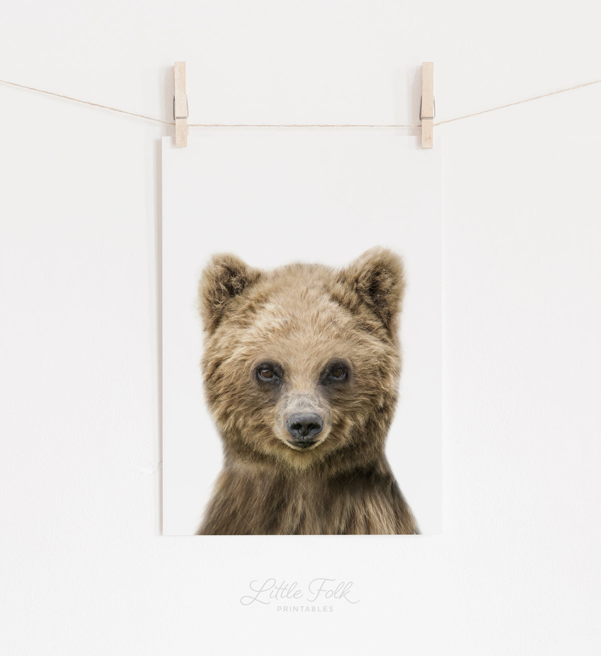 Baby Bear Print
