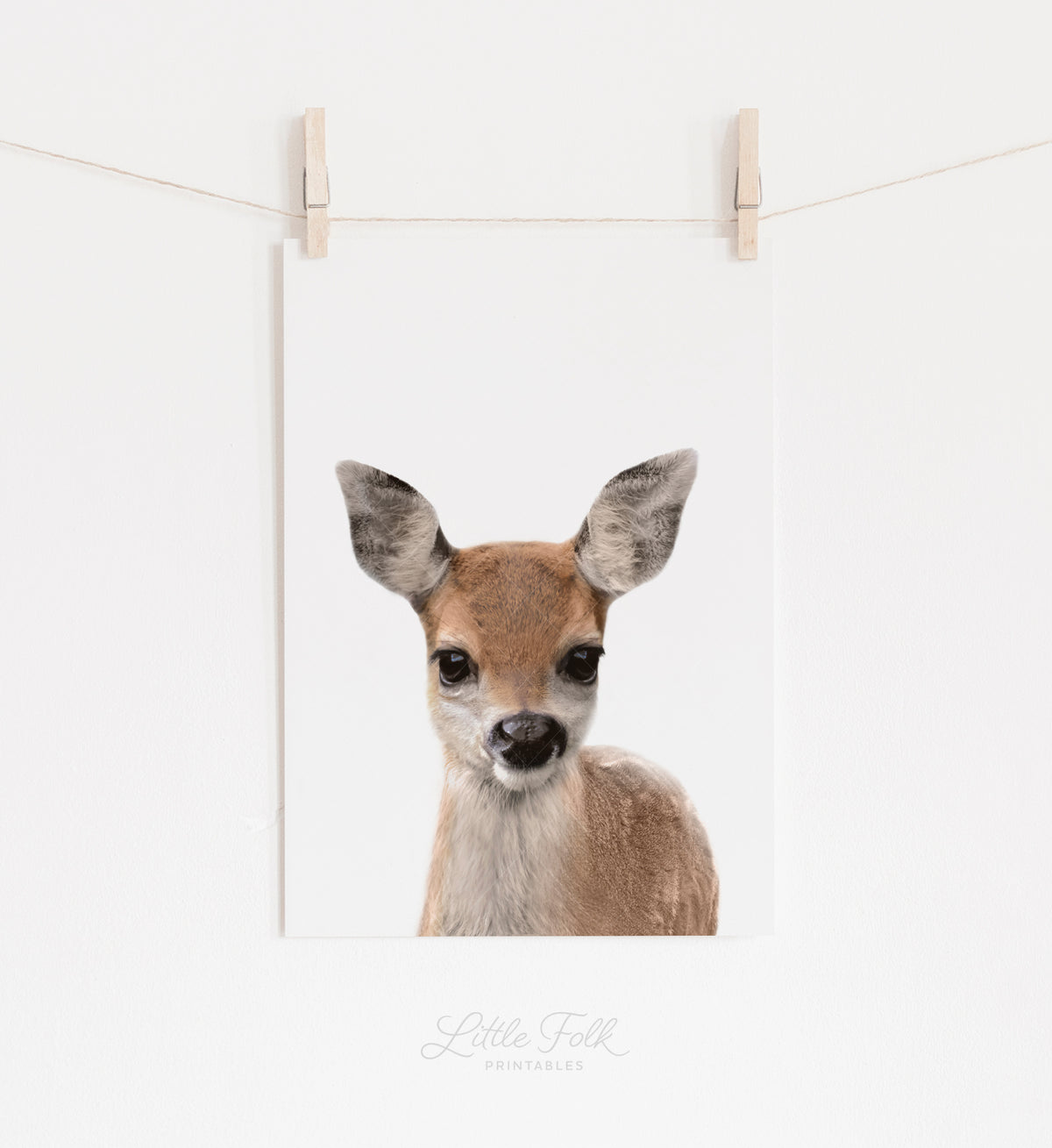 Baby Deer Print