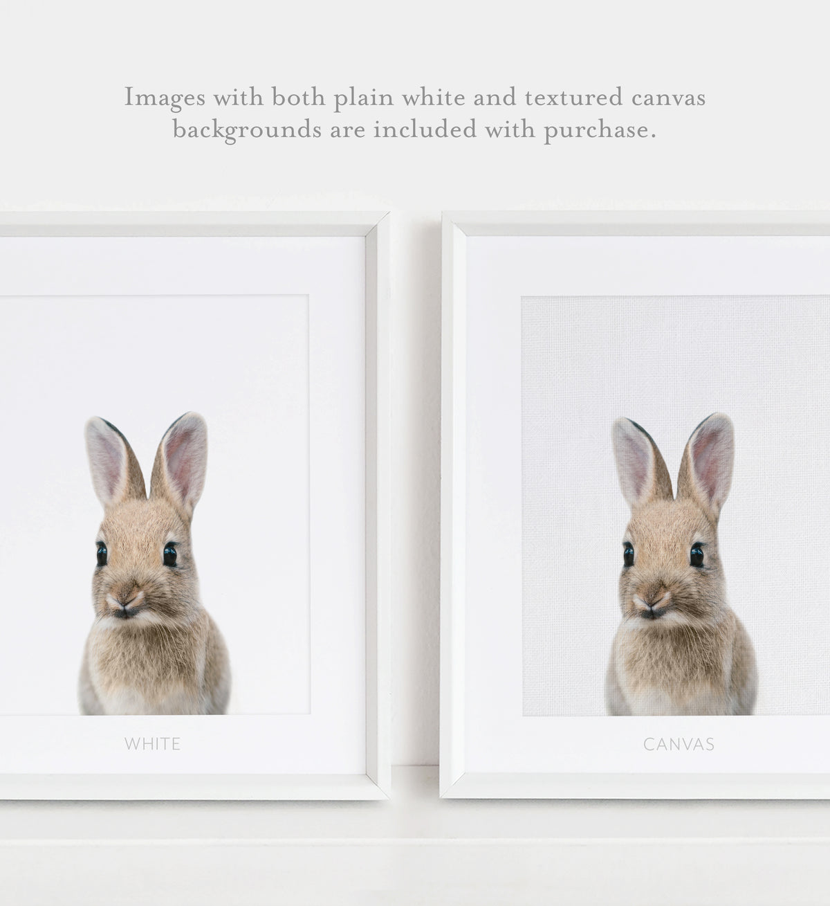 Baby Bunny Print