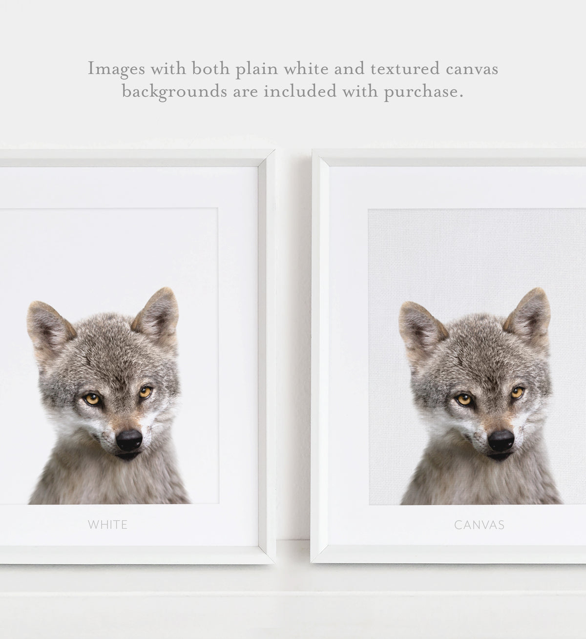 Baby Wolf Print