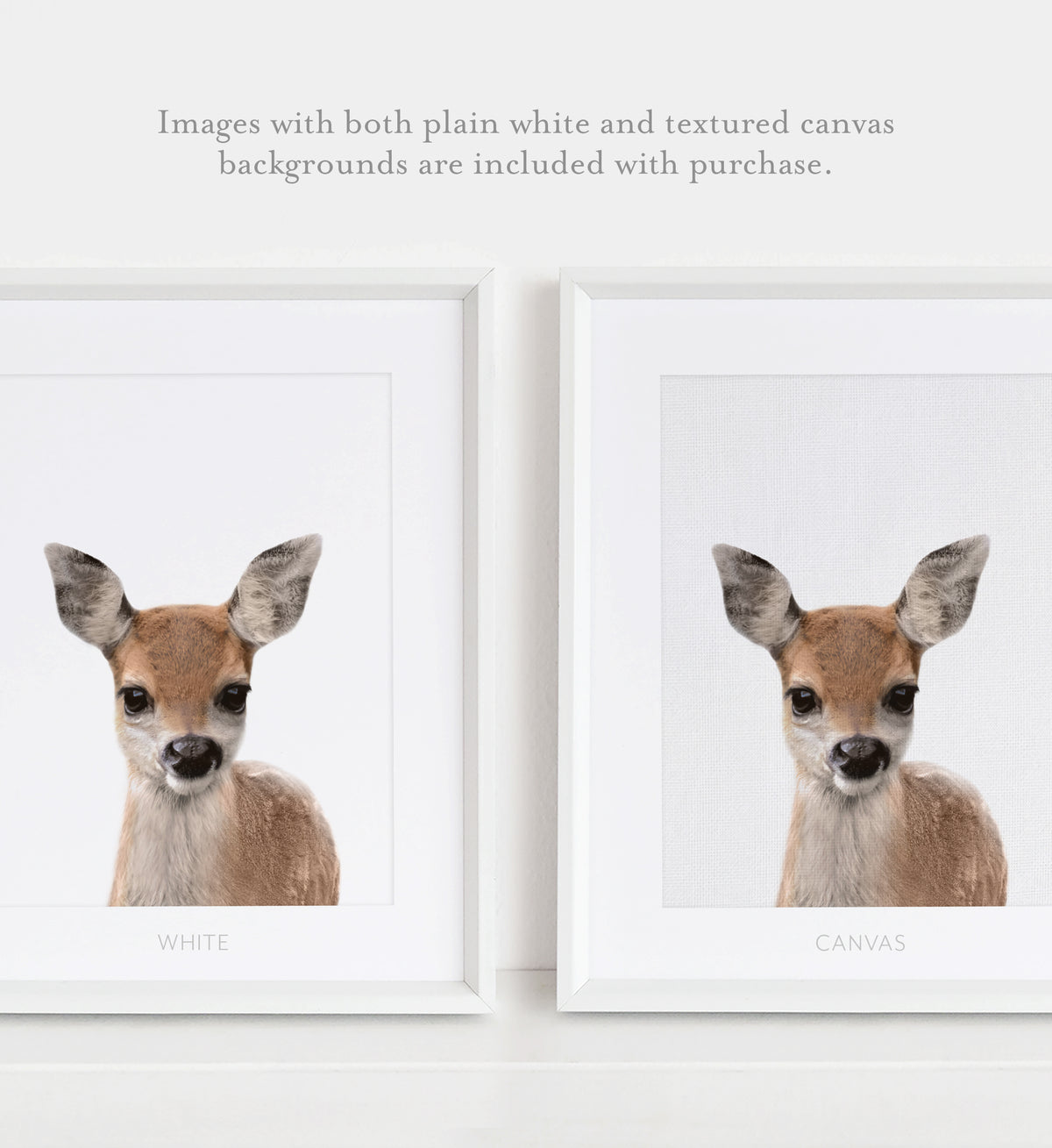 Baby Deer Print