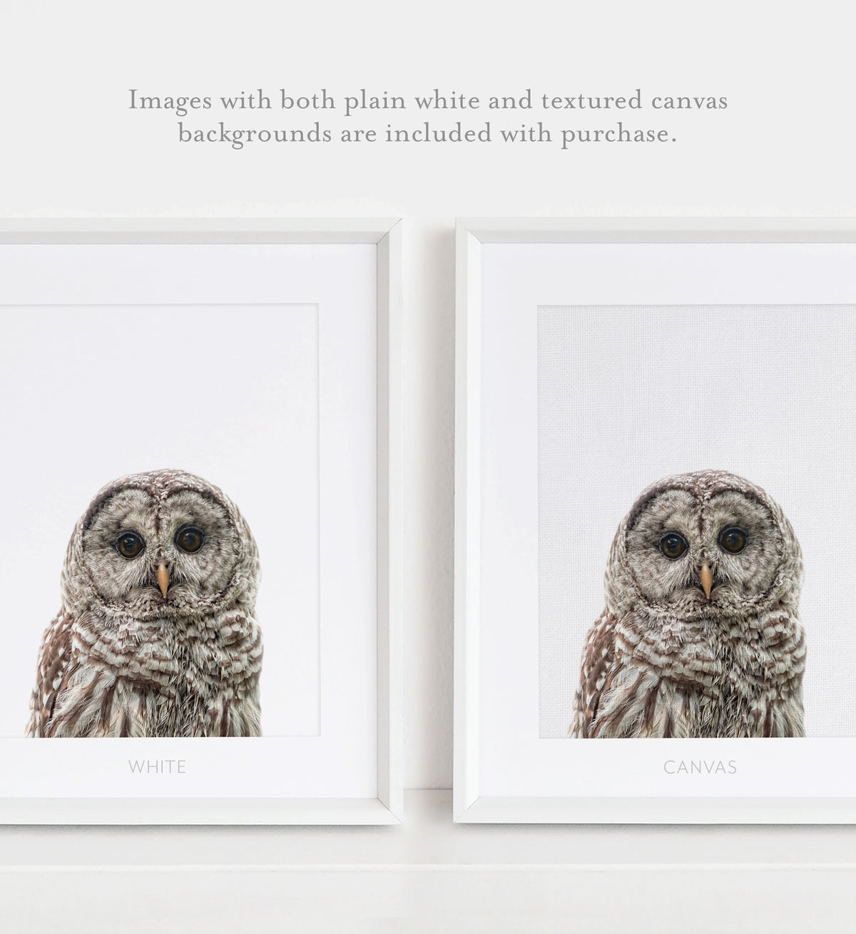 Baby Owl Print