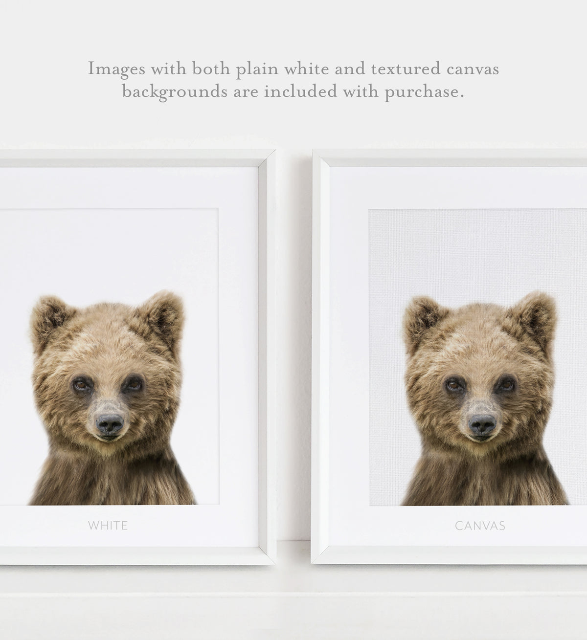 Baby Bear Print