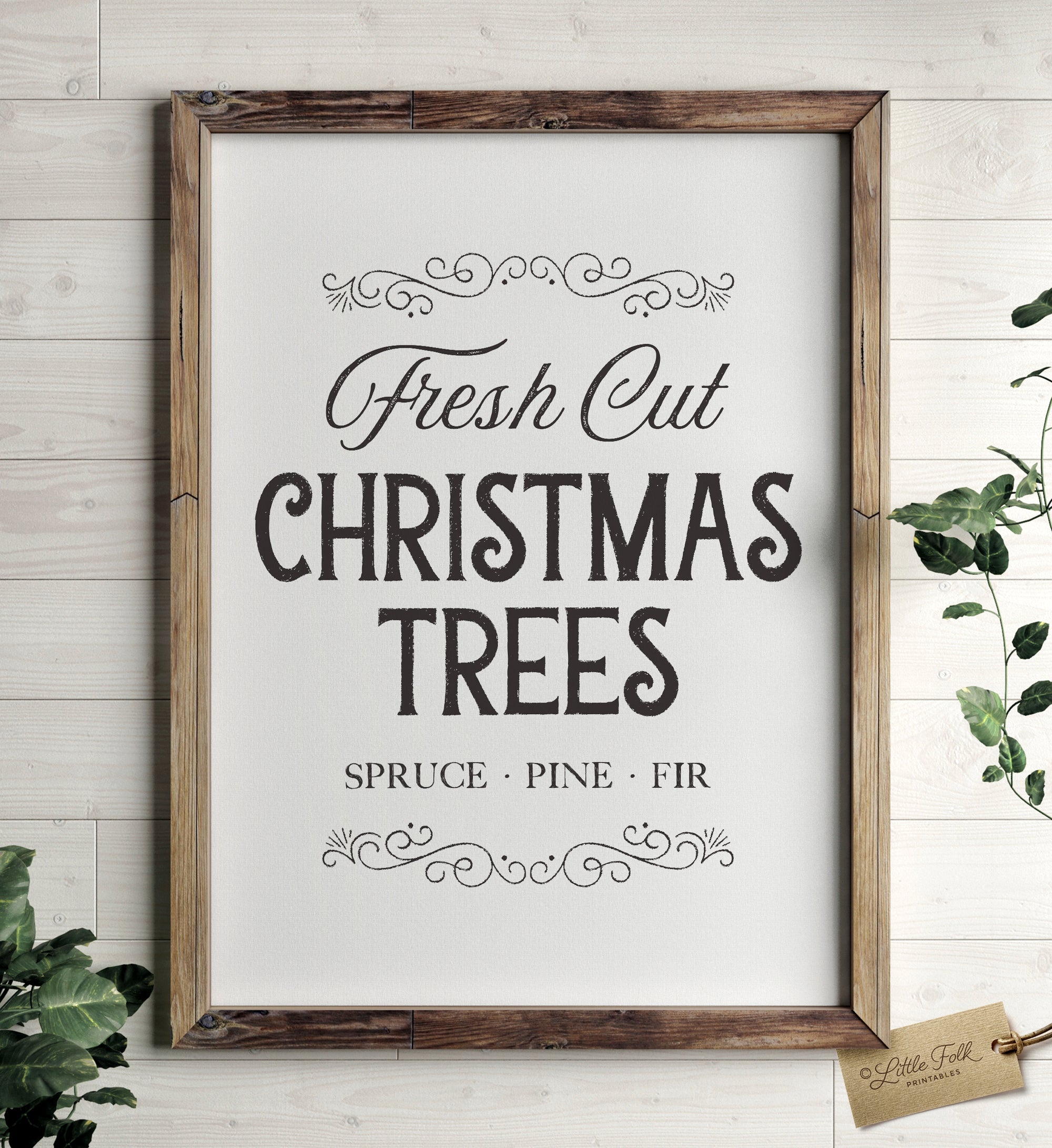 Fresh Cut Christmas Trees Print