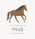 Horse Birthday Collection - 9948