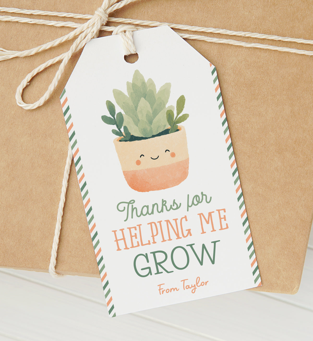Succulent Teacher Appreciation Tag Template