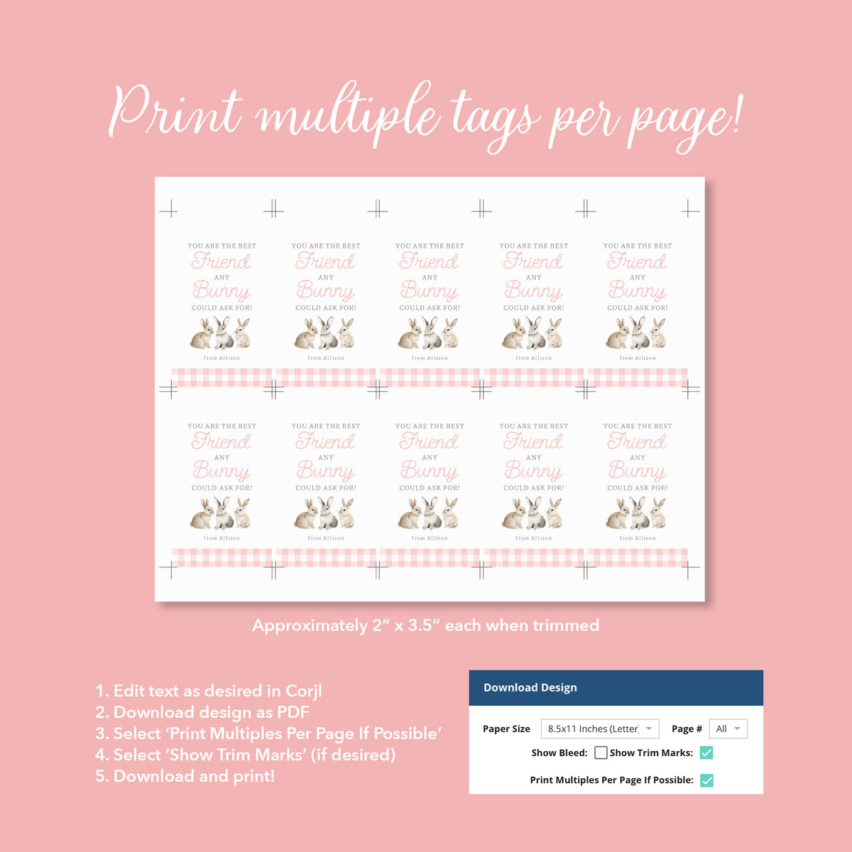 Pink Gingham Best Friend Easter Tag Template