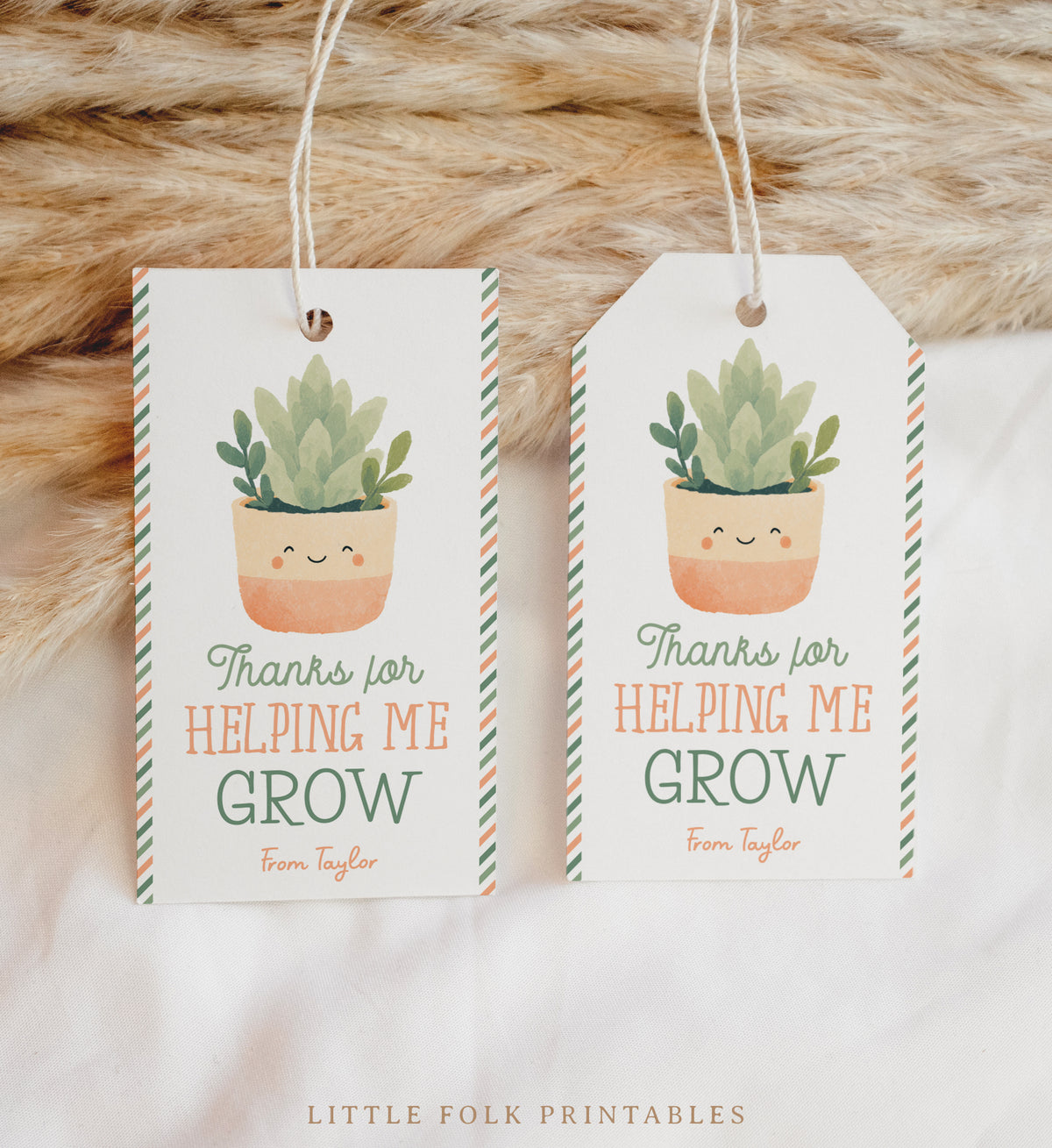 Succulent Teacher Appreciation Tag Template