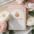 Pink Gingham Pumpkin Baby Shower Invitation