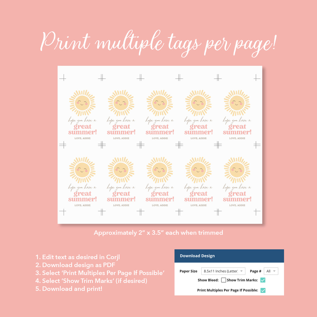 Sunshine Teacher Appreciation Tag Template