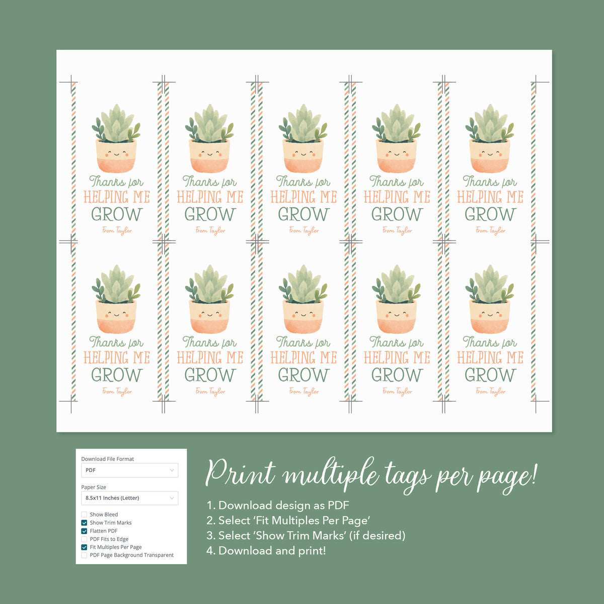 Succulent Teacher Appreciation Tag Template