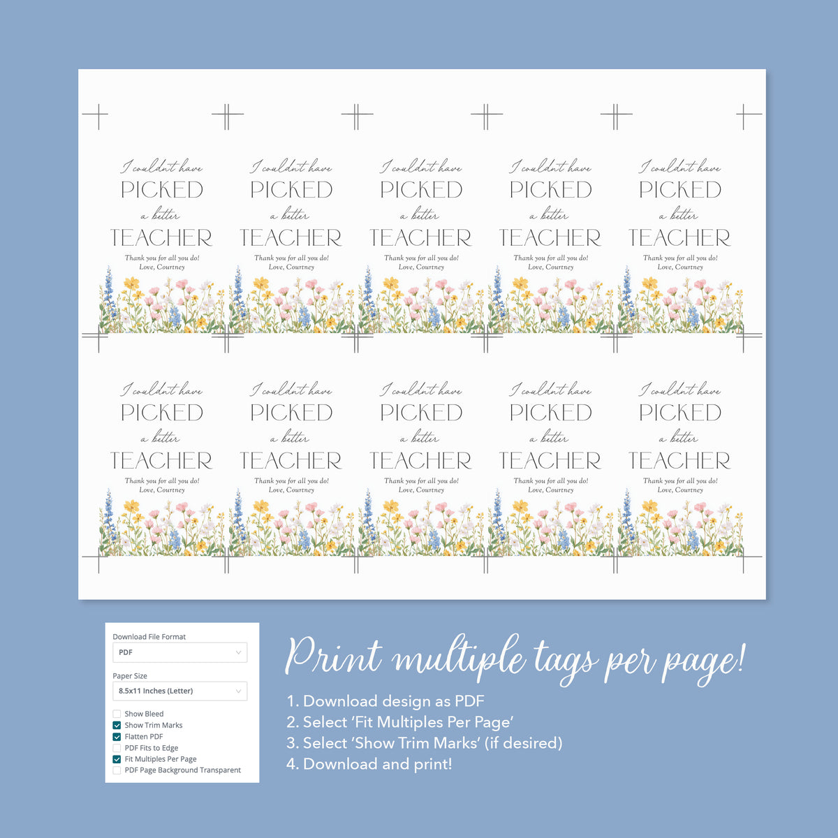 I Couldn't Have Picked a Better Teacher - Teacher Appreciation Tag Template