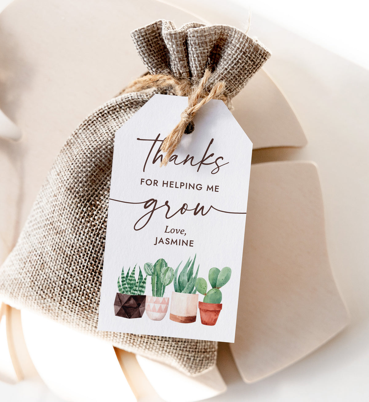 Cactus Teacher Appreciation Tag Template