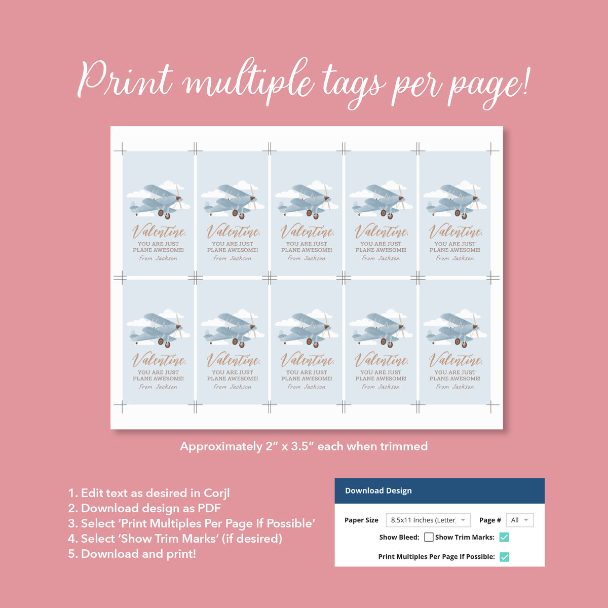 Airplane Valentine&#39;s Tag Template