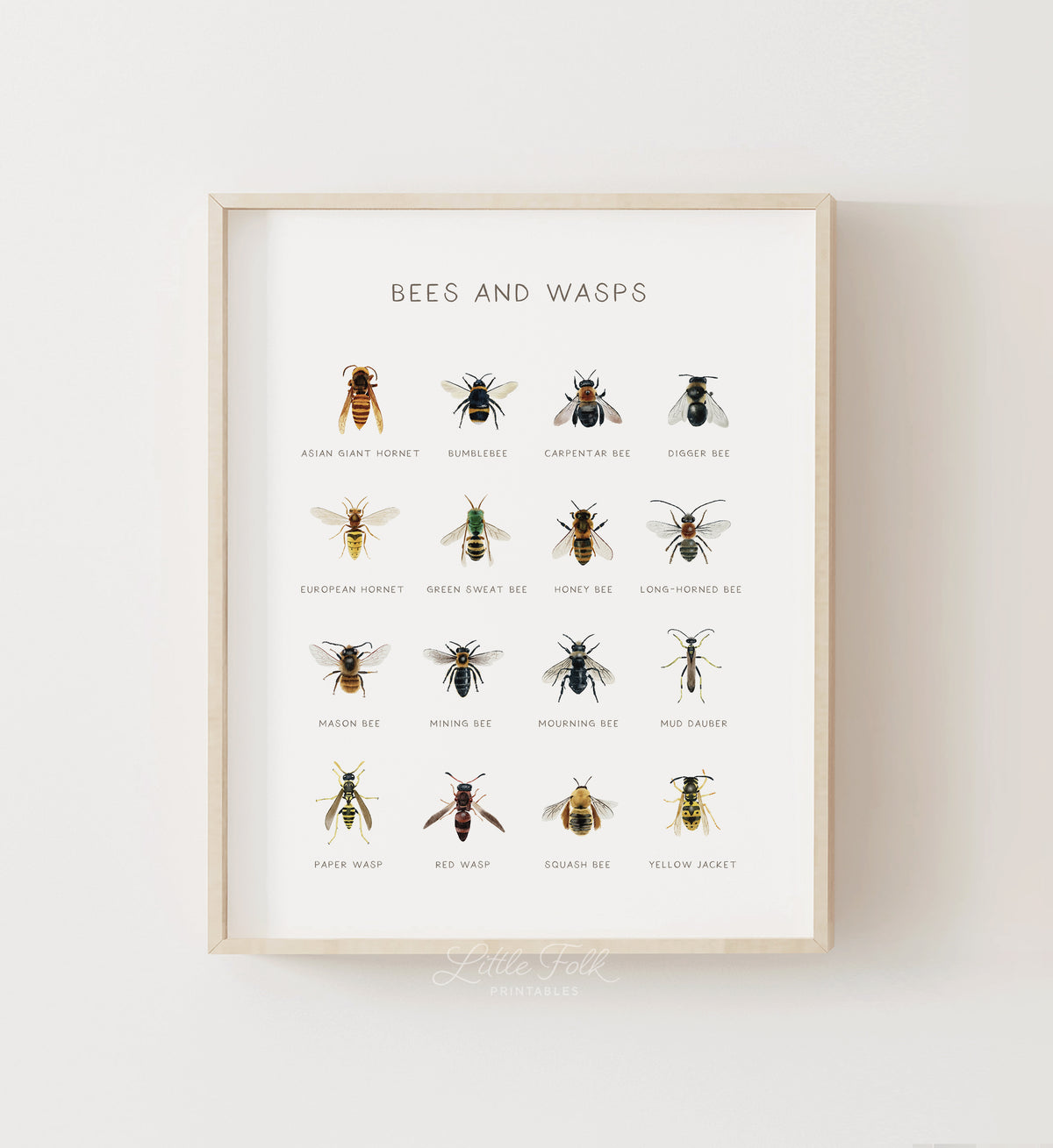 Bees and Wasps Print
