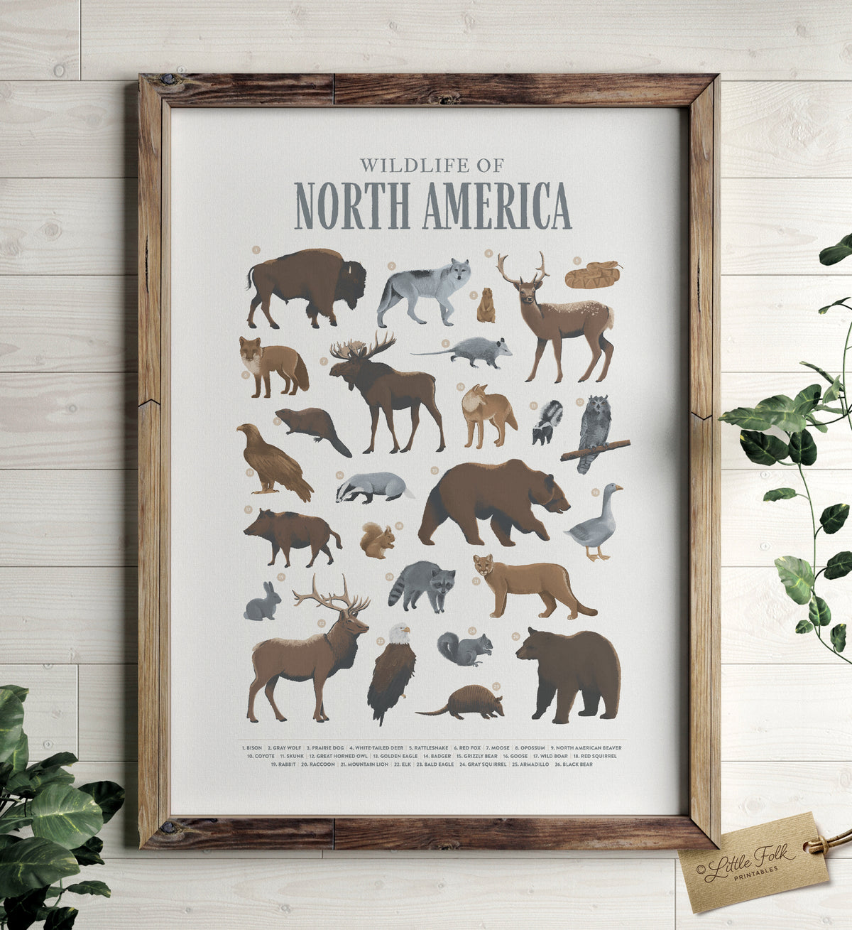 Animals of North America Print