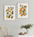 Orange and Lemon Botanical Prints
