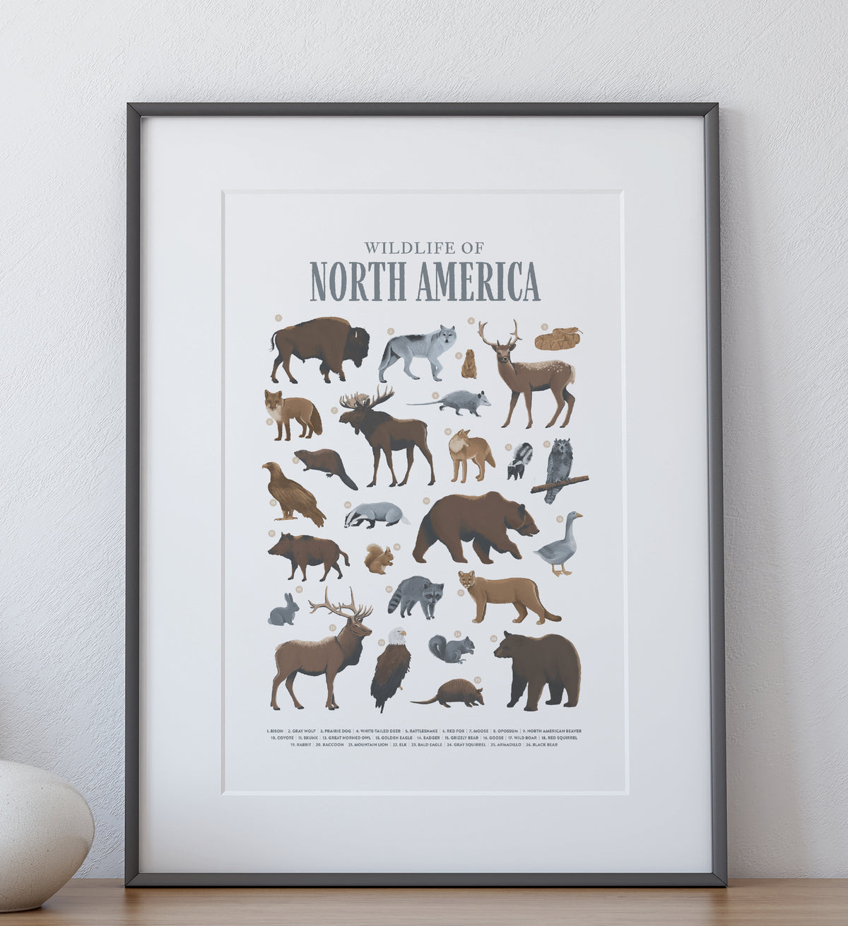 Animals of North America Print