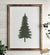Pine Tree Print