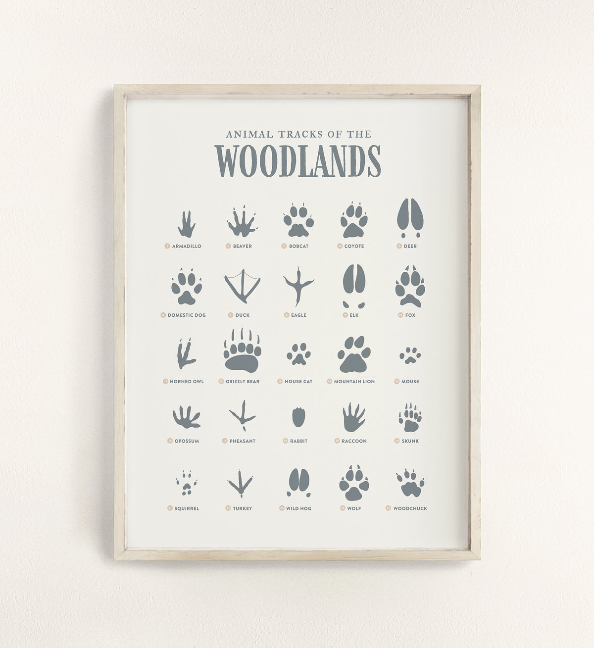 Animal Tracks Print - Blue