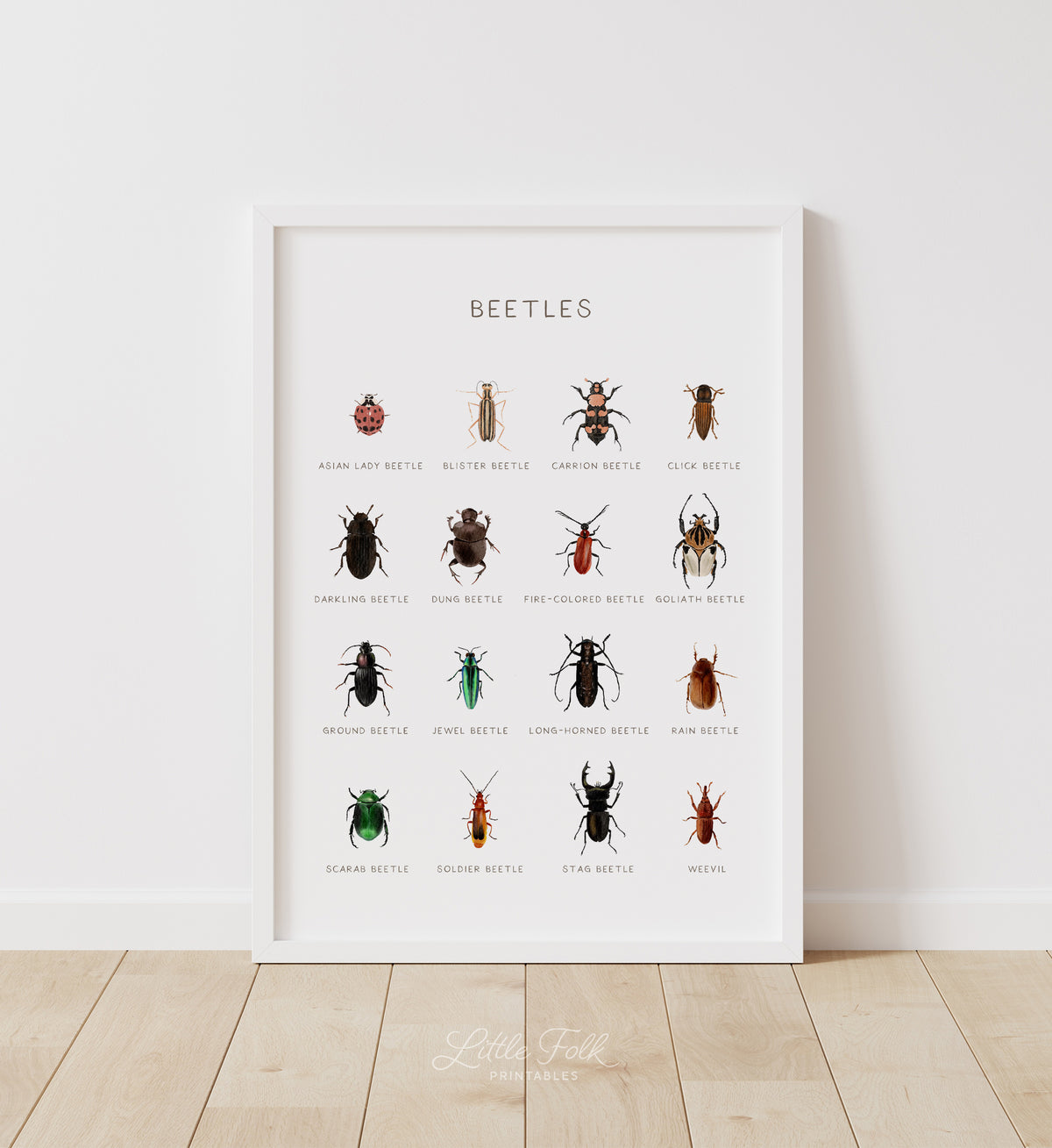 Beetles Print