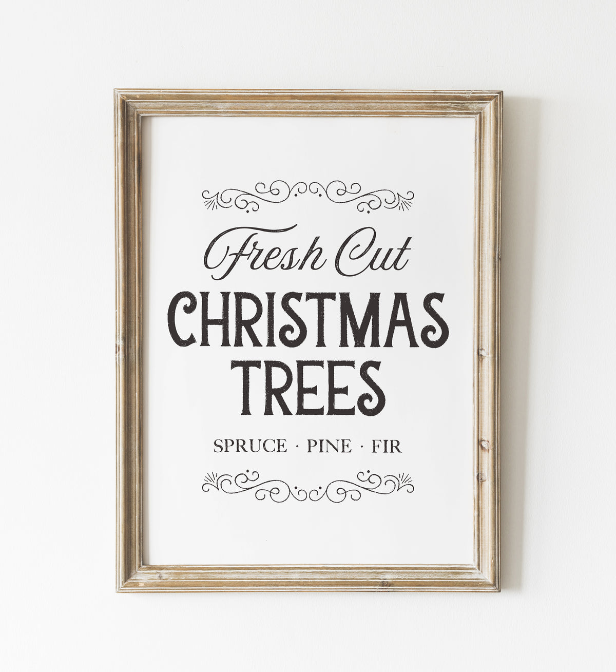 Fresh Cut Christmas Trees Print