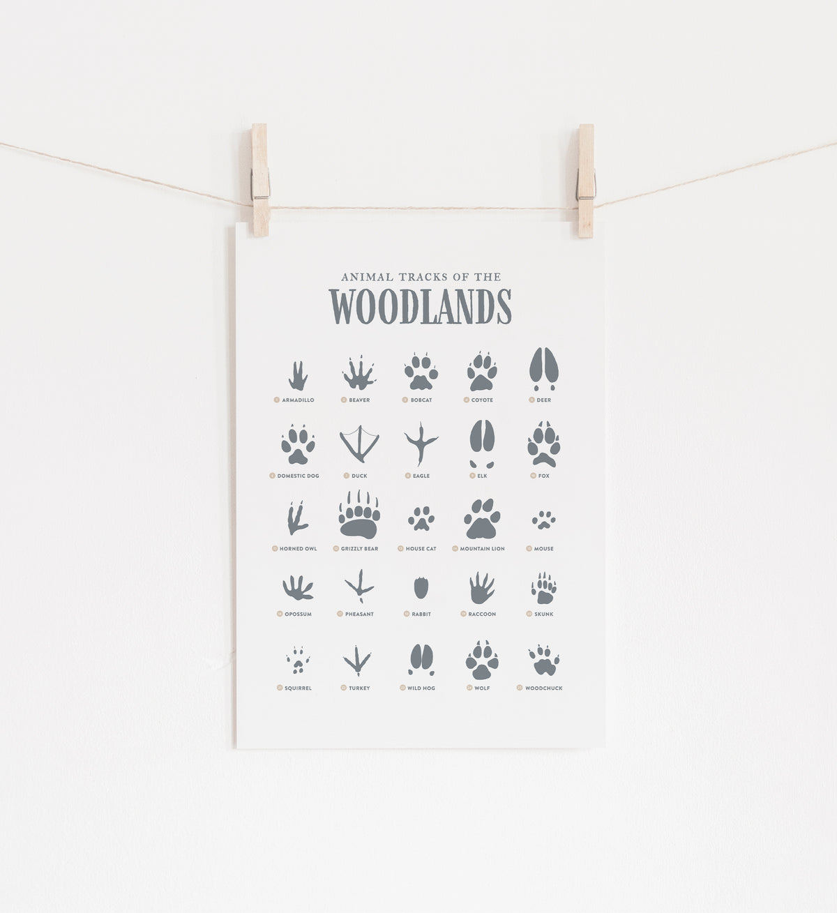 Animal Tracks Print - Blue