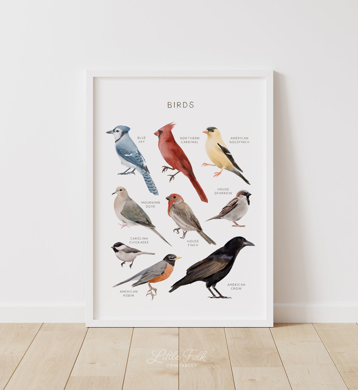 Birds Print - MRCP