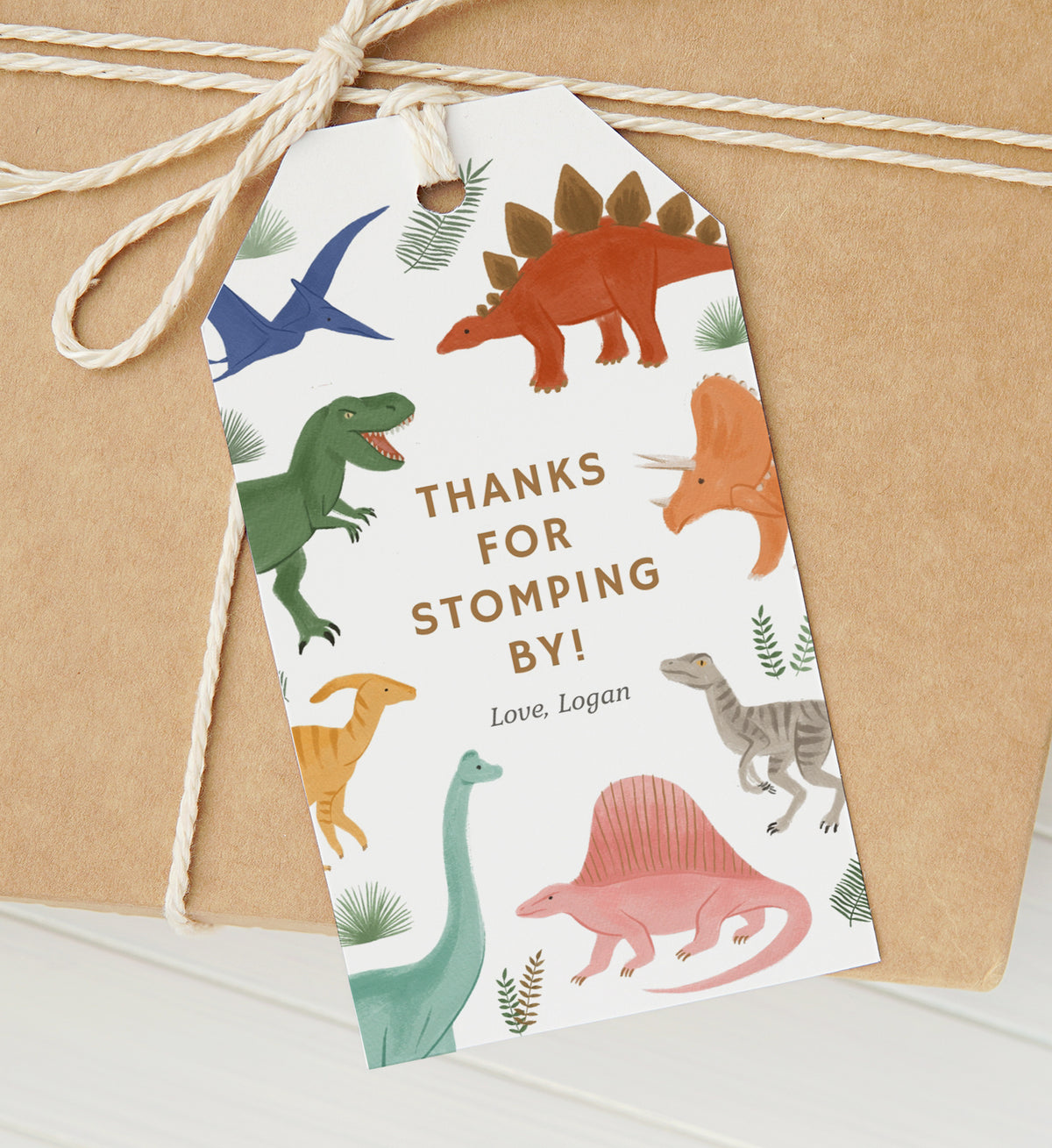 Editable Dinosaur Birthday Party Favor Tag Template
