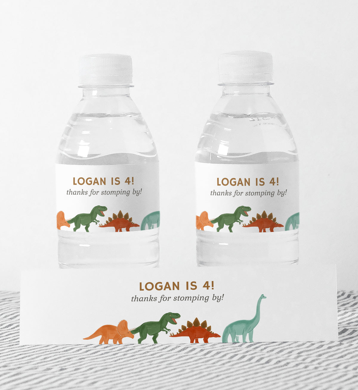 Editable Dinosaur Birthday Party Water Bottle Wrap Template