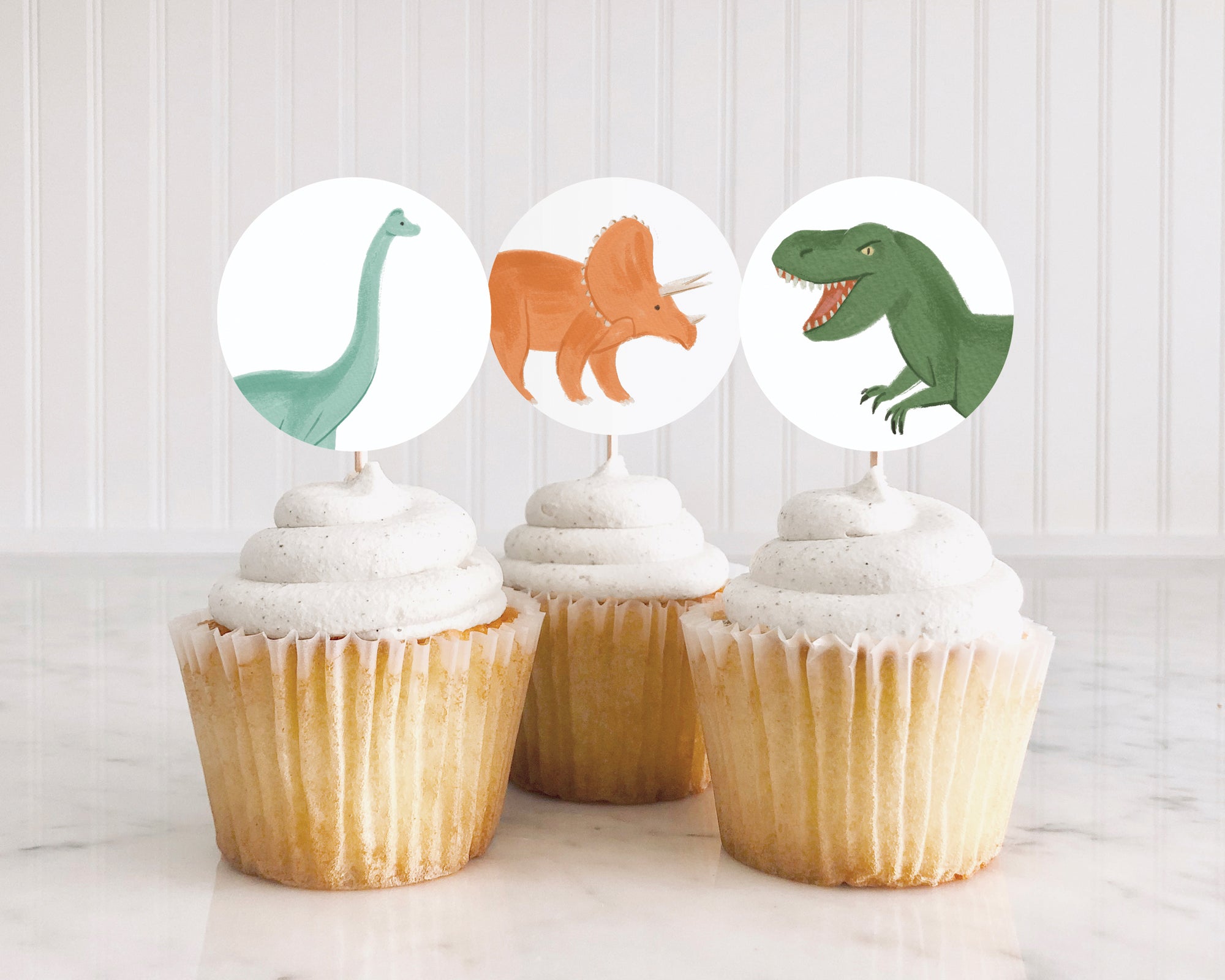 Dinosaur Birthday Party Cupcake Toppers