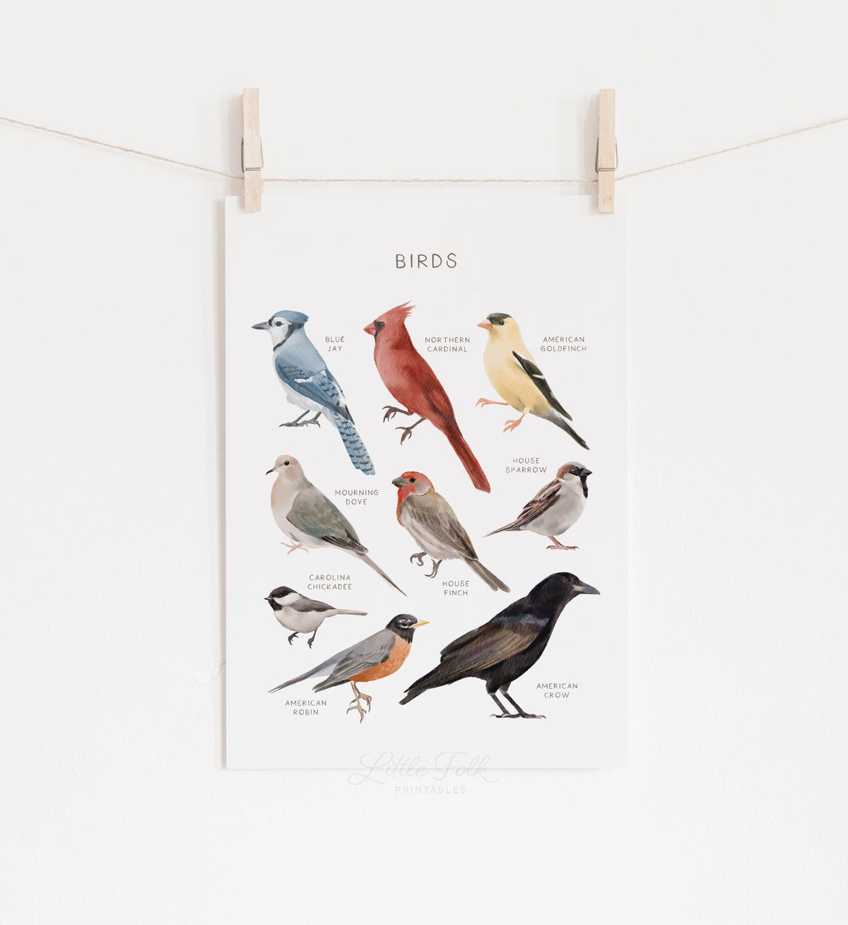 Birds Print - MRCP