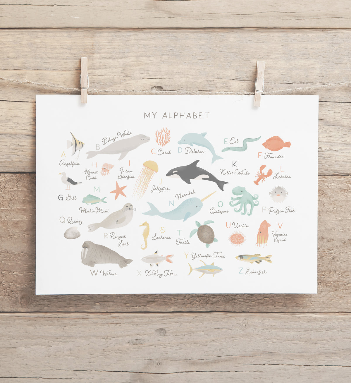 Beach Animal Alphabet Horizontal Print