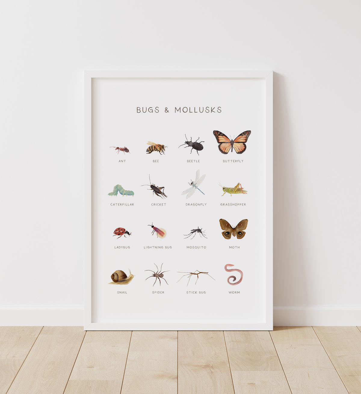 Bugs &amp; Mollusks Print - MRCP